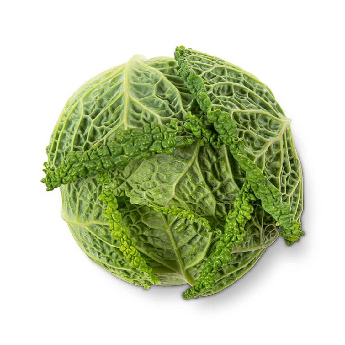 Image-product-#1