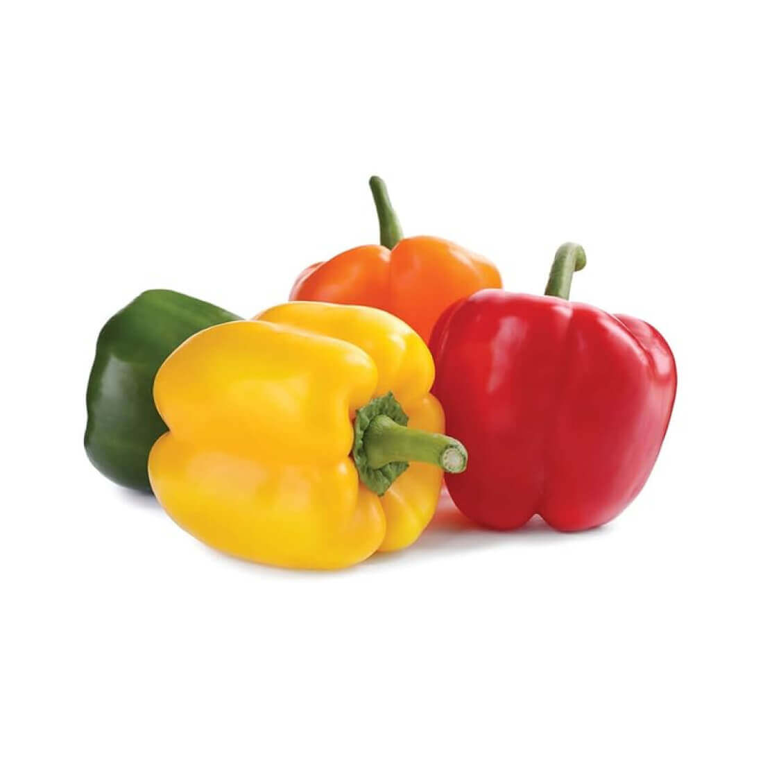 Image-product-#10