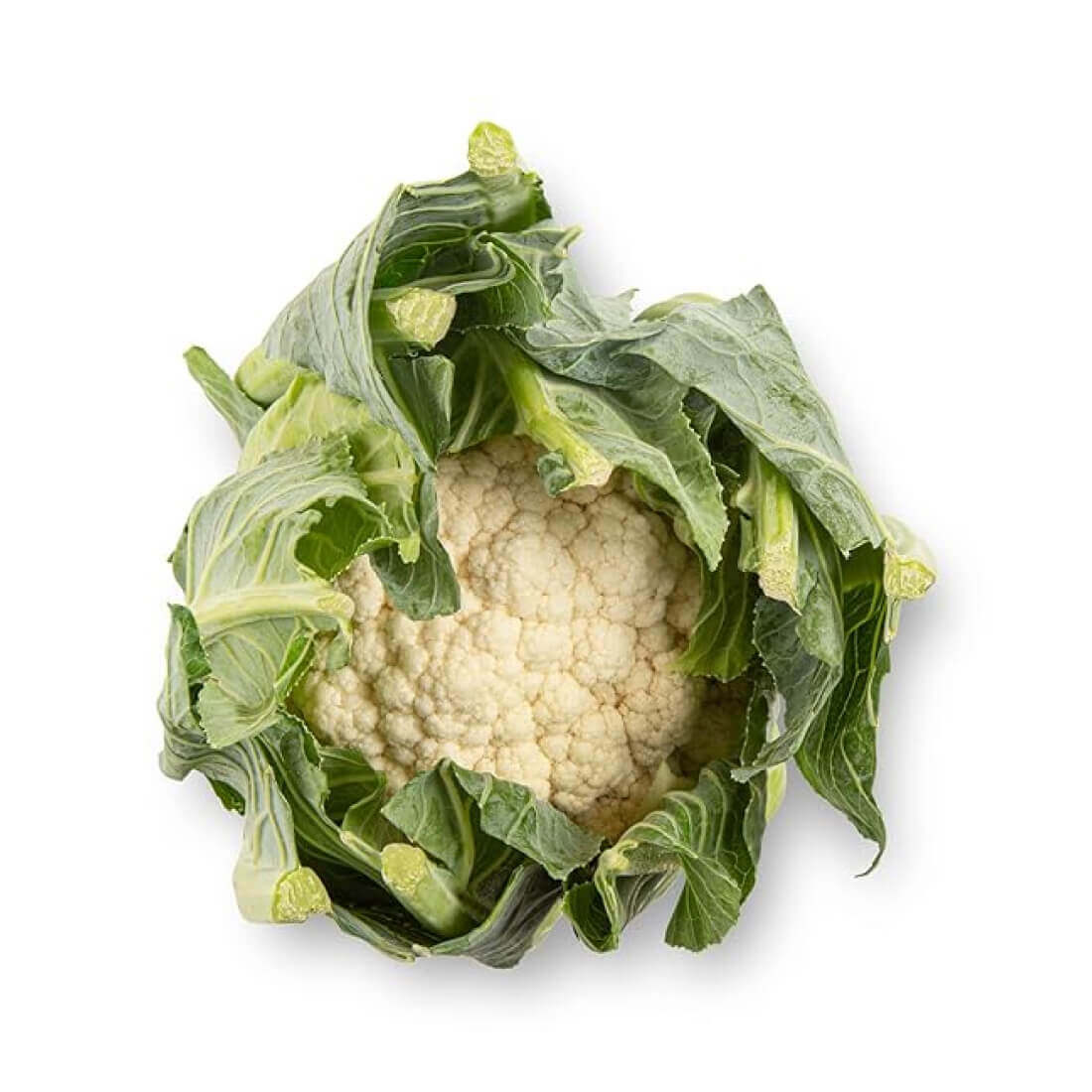 Image-product-#13