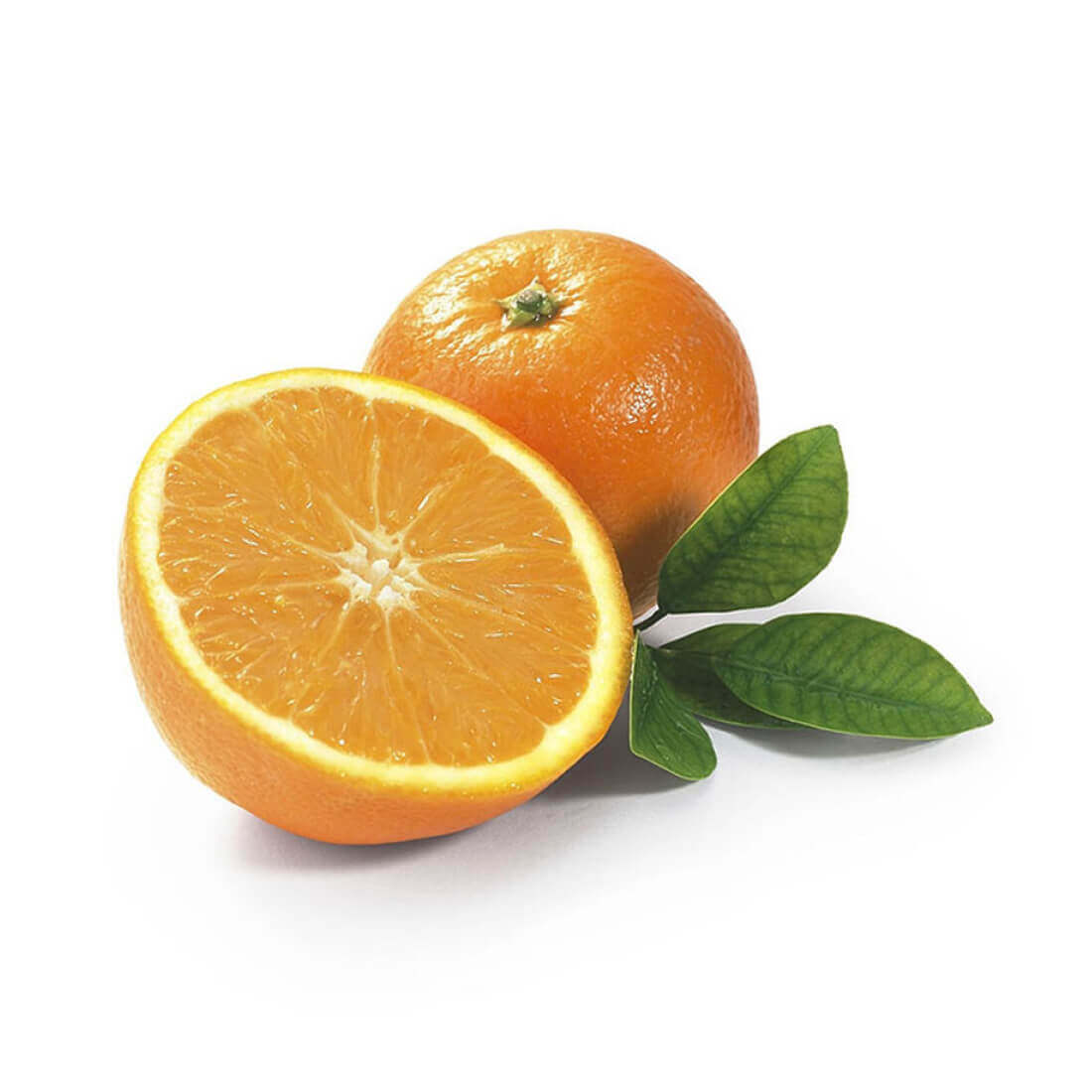 Image-product-#14