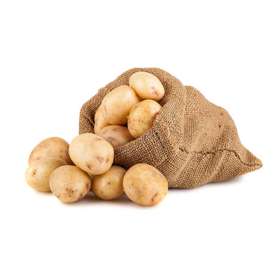 Image-product-#16