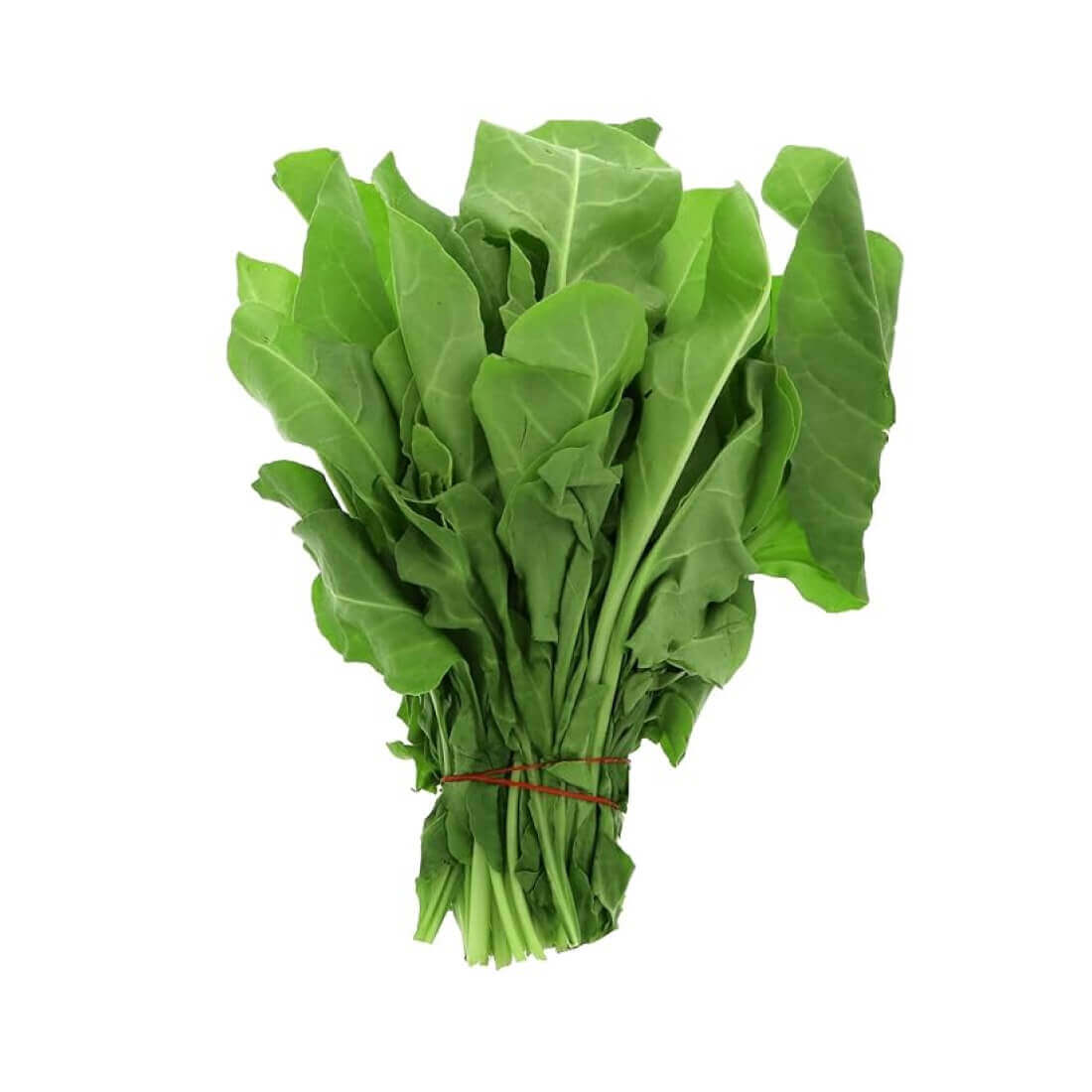Image-product-#2