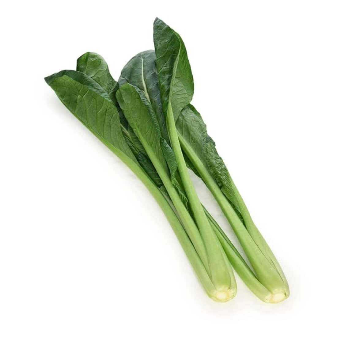Image-product-#5