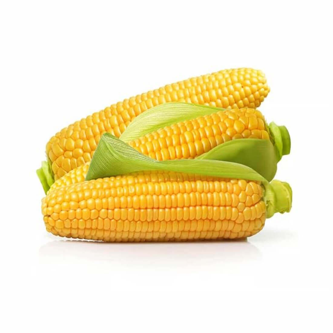 Image-product-#6
