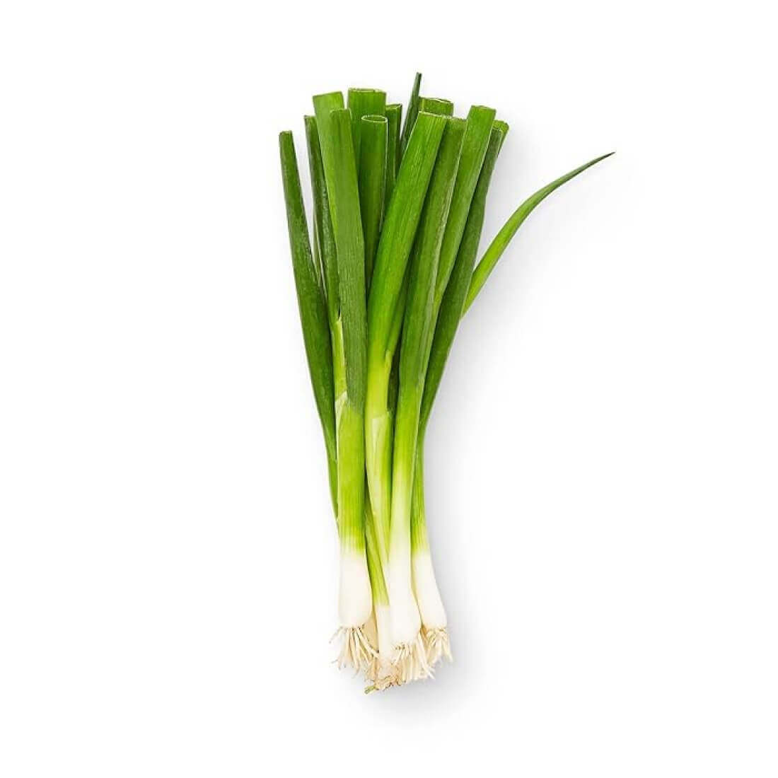 Image-product-#7